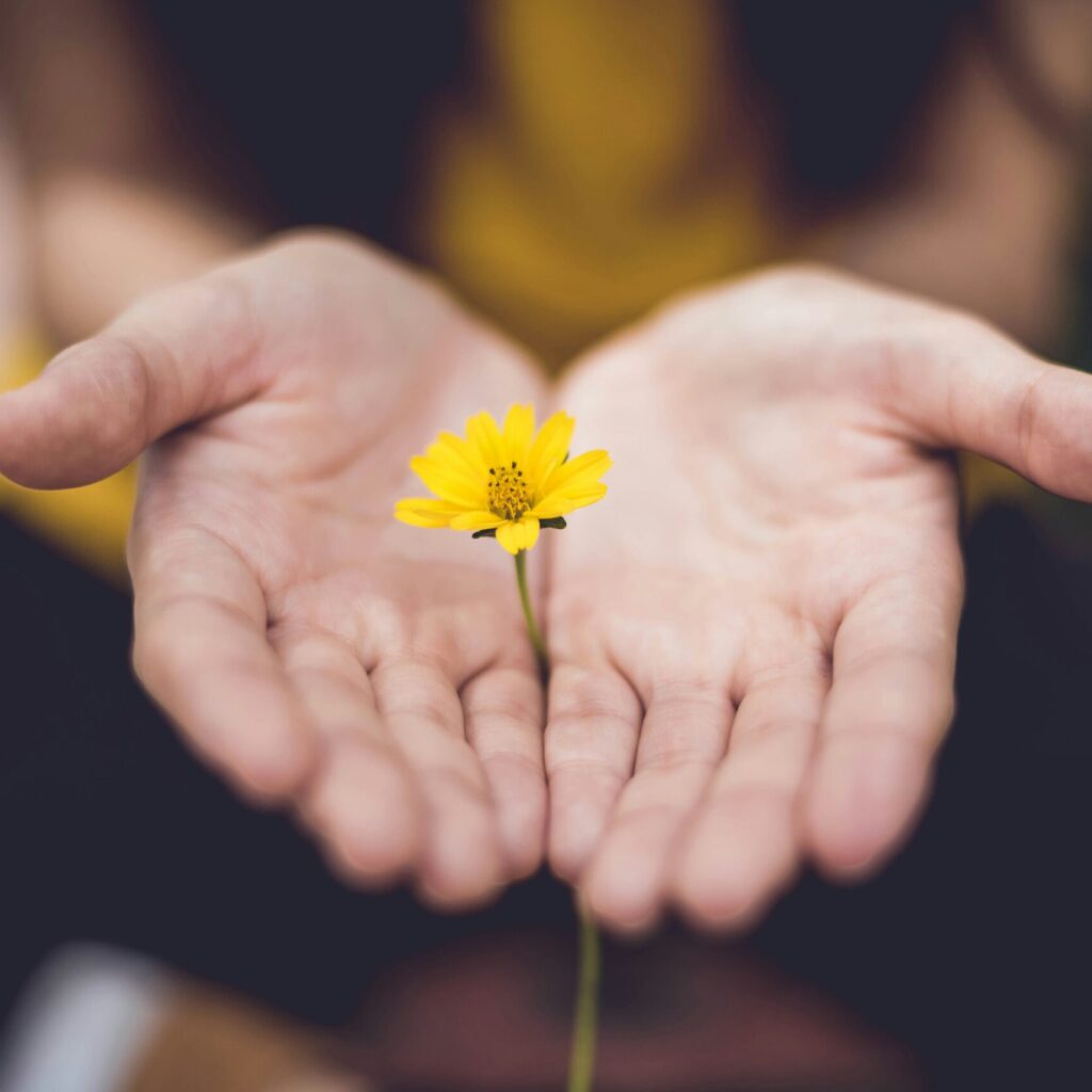 Das Phoenix-Agebote - Institut Phoenix - Zwei Hände halten eine gelbe Blume # Bild von Lina Trochez über Unsplash