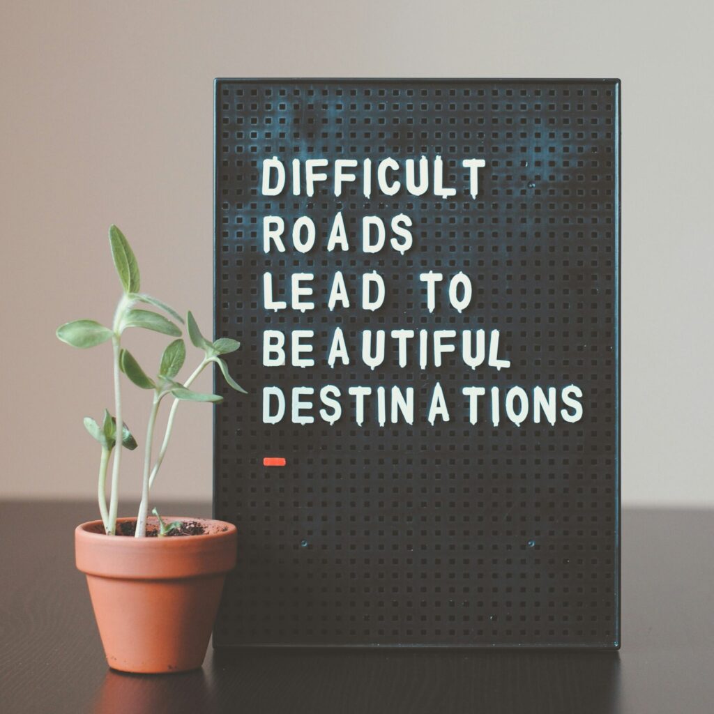 Arbeit gesund gestalten - Institut Phoenix # Blumentopf mit Pflanz vor Tafel mit Spruch "Difficult Roads lead to beautiful destinations" # Foto von Nik über Unsplash